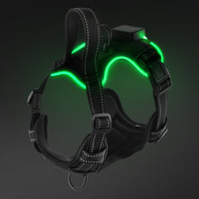 Load image into Gallery viewer, MASBRILL Light Up Dog Harness - No Pull Led Dog Harness Rechargeable Lighted Dog Harness for Night Walking Adjustable Glow Vest for Small Medium Large Dogs