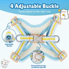 Load image into Gallery viewer, MASBRILL Dog Harness and Leash Set No Pull with Safety Lock, Adjustable Puppy Soft Vest, X-Shaped Pet Harness for Small Dog