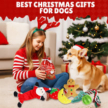 Load image into Gallery viewer, MASBRILL Christmas Puppy Dog Toys, 9 Pack Luxury Dog Plush Toys for Small Dogs Teething and Training,Interactive Squeaky Toys, Rope Toys & Poop Bag