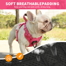 Load image into Gallery viewer, MASBRILL Reflective Dog Harness No Pull Dog Vest Harness With Handle,No Choke Adjustable Soft Padded Pet Vest for Small to Large Dogs
