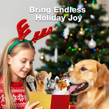 Load image into Gallery viewer, MASBRILL Dog Squeaky Toys, 5 PCS Crinkle Plush Dog Toys ,Stuffless Puppy Toys for Boredom,Teething and Chewing, Best Birthday Gift for Puppy to Large Size Breeds