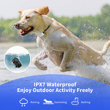 Load image into Gallery viewer, MASBRILL Dog Training Collar with Remote - Dog Shock Collar for Large Small Medium Dogs with 2600FT Remote, Rechargeable Dog Bark Collar with Beep/Vibration/Shock Modes, Security Lock, Rainproof