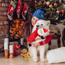 Load image into Gallery viewer, MASBRILL Christmas Puppy Dog Toys, 9 Pack Luxury Dog Plush Toys for Small Dogs Teething and Training,Interactive Squeaky Toys, Rope Toys & Poop Bag