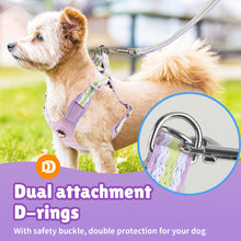 Load image into Gallery viewer, MASBRILL Dog Harness and Leash Set No Pull with Safety Lock, Adjustable Puppy Soft Vest, X-Shaped Pet Harness for Small Dog