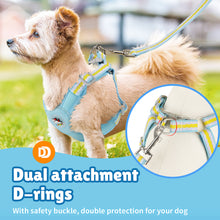 Load image into Gallery viewer, MASBRILL Dog Harness and Leash Set No Pull with Safety Lock, Adjustable Puppy Soft Vest, X-Shaped Pet Harness for Small Dog