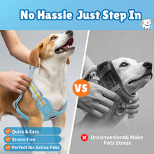 Load image into Gallery viewer, MASBRILL Dog Harness and Leash Set No Pull with Safety Lock, Adjustable Puppy Soft Vest, X-Shaped Pet Harness for Small Dog
