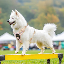 Load image into Gallery viewer, MASBRILL Reflective Dog Harness No Pull Dog Vest Harness with Handle, Breathable Padded Dog Chest Harness Adjustable for Medium Dog-Blue