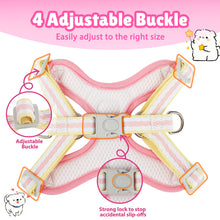 Load image into Gallery viewer, MASBRILL Dog Harness and Leash Set No Pull with Safety Lock, Adjustable Puppy Soft Vest, X-Shaped Pet Harness for Small Dog
