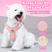 Load image into Gallery viewer, MASBRILL Dog Harness and Leash Set No Pull with Safety Lock, Adjustable Puppy Soft Vest, X-Shaped Pet Harness for Small Dog
