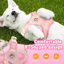 Load image into Gallery viewer, MASBRILL Dog Harness and Leash Set No Pull with Safety Lock, Adjustable Puppy Soft Vest, X-Shaped Pet Harness for Small Dog