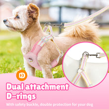 Load image into Gallery viewer, MASBRILL Dog Harness and Leash Set No Pull with Safety Lock, Adjustable Puppy Soft Vest, X-Shaped Pet Harness for Small Dog
