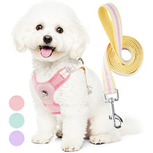 Load image into Gallery viewer, MASBRILL Dog Harness and Leash Set No Pull with Safety Lock, Adjustable Puppy Soft Vest, X-Shaped Pet Harness for Small Dog