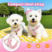 Load image into Gallery viewer, MASBRILL Dog Harness and Leash Set No Pull with Safety Lock, Adjustable Puppy Soft Vest, X-Shaped Pet Harness for Small Dog