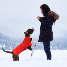 Load image into Gallery viewer, MASBRILL Dog Coat with Harness Built in, Waterproof & Reflective, Turtleneck Dog Jacket , Fleece Vest with Buckle - Coats for Large Dogs for Cold Weather