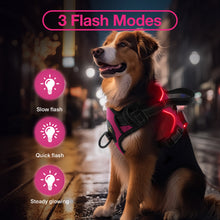 Load image into Gallery viewer, MASBRILL Light Up Dog Harness - No Pull Led Dog Harness Rechargeable Lighted Dog Harness for Night Walking Adjustable Glow Vest for Small Medium Large Dogs