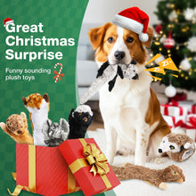 Load image into Gallery viewer, MASBRILL Dog Squeaky Toys, 5 PCS Crinkle Plush Dog Toys ,Stuffless Puppy Toys for Boredom,Teething and Chewing, Best Birthday Gift for Puppy to Large Size Breeds