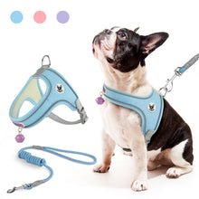Load image into Gallery viewer, MASBRILL Cat & Dog Harness with Leash, Reflective Escape-Proof No-Pull Soft Vest, Easy to Wear for Walking, Traveling, Includes Pet Bells