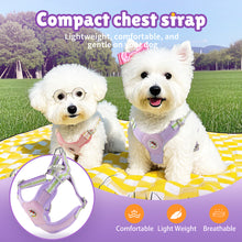 Load image into Gallery viewer, MASBRILL Dog Harness and Leash Set No Pull with Safety Lock, Adjustable Puppy Soft Vest, X-Shaped Pet Harness for Small Dog