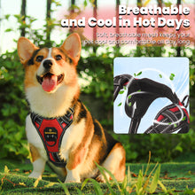 Load image into Gallery viewer, MASBRILL Dog Harness and Leash Set, No Pull Vest Harness, Reflective Adjustable Soft Padded Pet Harness with Handle for Small to Large Dogs