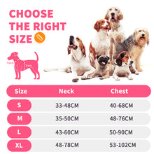Load image into Gallery viewer, MASBRILL Reflective Dog Harness No Pull Dog Vest Harness With Handle,No Choke Adjustable Soft Padded Pet Vest for Small to Large Dogs