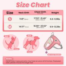 Load image into Gallery viewer, MASBRILL Cat & Dog Harness with Leash, Reflective Escape-Proof No-Pull Soft Vest, Easy to Wear for Walking, Traveling, Includes Pet Bells