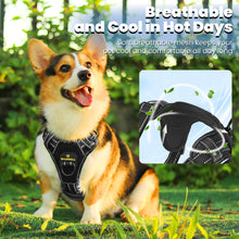 Load image into Gallery viewer, MASBRILL Dog Harness and Leash Set, No Pull Vest Harness, Reflective Adjustable Soft Padded Pet Harness with Handle for Small to Large Dogs