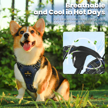 Load image into Gallery viewer, MASBRILL Dog Harness and Leash Set, No Pull Vest Harness, Reflective Adjustable Soft Padded Pet Harness with Handle for Small to Large Dogs