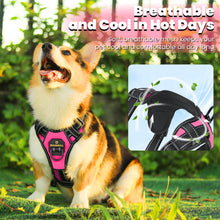Load image into Gallery viewer, MASBRILL Dog Harness and Leash Set, No Pull Vest Harness, Reflective Adjustable Soft Padded Pet Harness with Handle for Small to Large Dogs