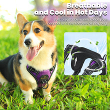 Load image into Gallery viewer, MASBRILL Dog Harness and Leash Set, No Pull Vest Harness, Reflective Adjustable Soft Padded Pet Harness with Handle for Small to Large Dogs