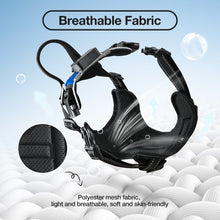 Load image into Gallery viewer, MASBRILL Light Up Dog Harness - No Pull Led Dog Harness Rechargeable Lighted Dog Harness for Night Walking Adjustable Glow Vest for Small Medium Large Dogs