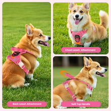 Load image into Gallery viewer, MASBRILL Reflective Dog Harness No Pull Dog Vest Harness with Handle, Breathable Padded Dog Chest Harness Adjustable for Medium Dog-Blue