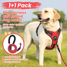 Load image into Gallery viewer, MASBRILL Dog Harness and Leash Set, No Pull Vest Harness, Reflective Adjustable Soft Padded Pet Harness with Handle for Small to Large Dogs
