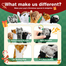 Load image into Gallery viewer, MASBRILL Dog Squeaky Toys, 5 PCS Crinkle Plush Dog Toys ,Stuffless Puppy Toys for Boredom,Teething and Chewing, Best Birthday Gift for Puppy to Large Size Breeds