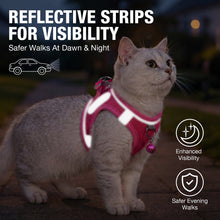 Load image into Gallery viewer, MASBRILL Cat & Dog Harness and Leash Set, Reflective Escape-Proof No-Pull Soft Vest, Easy to Wear for Walking, Traveling, Includes Pet Bells