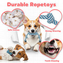 Load image into Gallery viewer, MASBRILL 10 Pack Puppy Chew Toys , Dog Toys for Small Dogs with Ropes, Treat Ball and Plush Squeaky to Keep Them Busy, Grey Rabbit