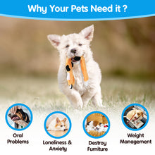 Load image into Gallery viewer, MASBRILL Squirrel Dog Squeaky Toys, 3PCS Crinkle Plush Dog Toys for Teething Chewing- No Stuffing&With Soft Squeaker , Best Birthday Gift For Puppy to Large Size Breeds