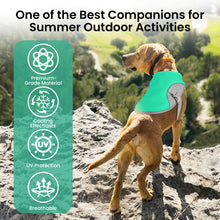 Load image into Gallery viewer, MASBRILL Dog Cooling Vest,Dog Summer Cooling Shirts with Reflective Stripe for Outdoor Training Hiking and Camping | Breathable,Lightweight and UV Protection