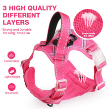 Load image into Gallery viewer, MASBRILL Reflective Dog Harness No Pull Dog Vest Harness with Handle, Breathable Padded Dog Chest Harness Adjustable for Medium Dog-Blue