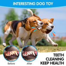 Load image into Gallery viewer, MASBRILL Squirrel Dog Squeaky Toys, 3PCS Crinkle Plush Dog Toys for Teething Chewing- No Stuffing&With Soft Squeaker , Best Birthday Gift For Puppy to Large Size Breeds