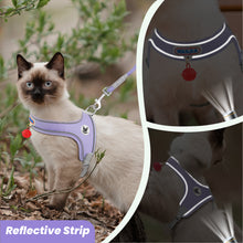 Load image into Gallery viewer, MASBRILL Cat & Dog Harness with Leash, Reflective Escape-Proof No-Pull Soft Vest, Easy to Wear for Walking, Traveling, Includes Pet Bells