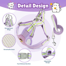 Load image into Gallery viewer, MASBRILL Dog Harness and Leash Set No Pull with Safety Lock, Adjustable Puppy Soft Vest, X-Shaped Pet Harness for Small Dog
