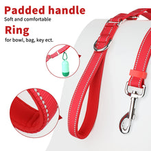 Load image into Gallery viewer, MASBRILL Reflective Dog Leash Adjustable Length (4-6 Feet) with Soft Padded Handle Nylon Dogs Leashes for Walking, Training Lead for Medium & Large Dogs, 1 Inch Wide,Blue