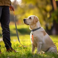 Load image into Gallery viewer, MASBRILL Dog Collar And Leash Set,Reflective Dog Collar With Dog Tag ,Soft Neoprene Padded Breathable ,Odour Resistant And Fast Drying Dog Leash+Dog Collar