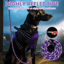 Load image into Gallery viewer, MASBRILL Dog Harness and Leash Set, No Pull Vest Harness, Reflective Adjustable Soft Padded Pet Harness with Handle for Small to Large Dogs