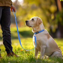 Load image into Gallery viewer, MASBRILL Dog Collar And Leash Set,Reflective Dog Collar With Dog Tag ,Soft Neoprene Padded Breathable ,Odour Resistant And Fast Drying Dog Leash+Dog Collar