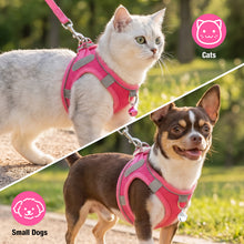 Load image into Gallery viewer, MASBRILL Cat & Dog Harness and Leash Set, Reflective Escape-Proof No-Pull Soft Vest, Easy to Wear for Walking, Traveling, Includes Pet Bells