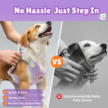 Load image into Gallery viewer, MASBRILL Dog Harness and Leash Set No Pull with Safety Lock, Adjustable Puppy Soft Vest, X-Shaped Pet Harness for Small Dog