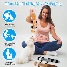 Load image into Gallery viewer, MASBRILL Squirrel Dog Squeaky Toys, 3PCS Crinkle Plush Dog Toys for Teething Chewing- No Stuffing&With Soft Squeaker , Best Birthday Gift For Puppy to Large Size Breeds