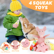 Load image into Gallery viewer, MASBRILL Dog Toys for Small Dogs ,10 Pack Puppy Chew Toys for Teething and Training with Plush Squeaky Toys, Treat Ball and Rope Toys to Keep Them Busy