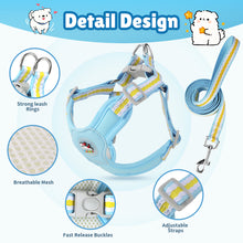 Load image into Gallery viewer, MASBRILL Dog Harness and Leash Set No Pull with Safety Lock, Adjustable Puppy Soft Vest, X-Shaped Pet Harness for Small Dog